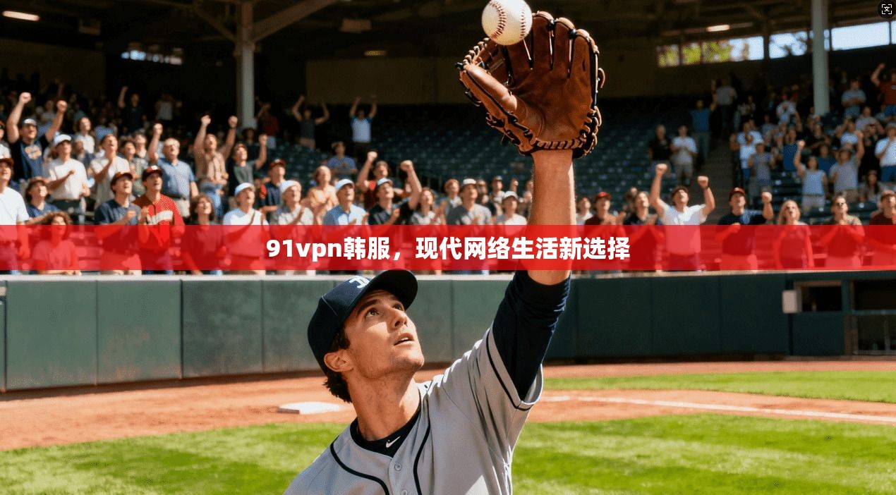 91vpn韩服，现代网络生活新选择  第1张