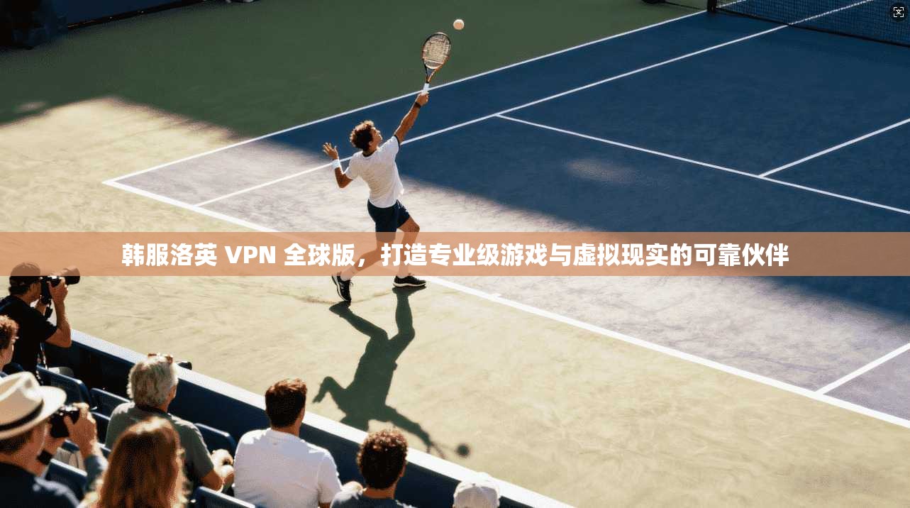 韩服洛英 VPN 全球版,打造专业级游戏与虚拟现实的可靠伙伴
