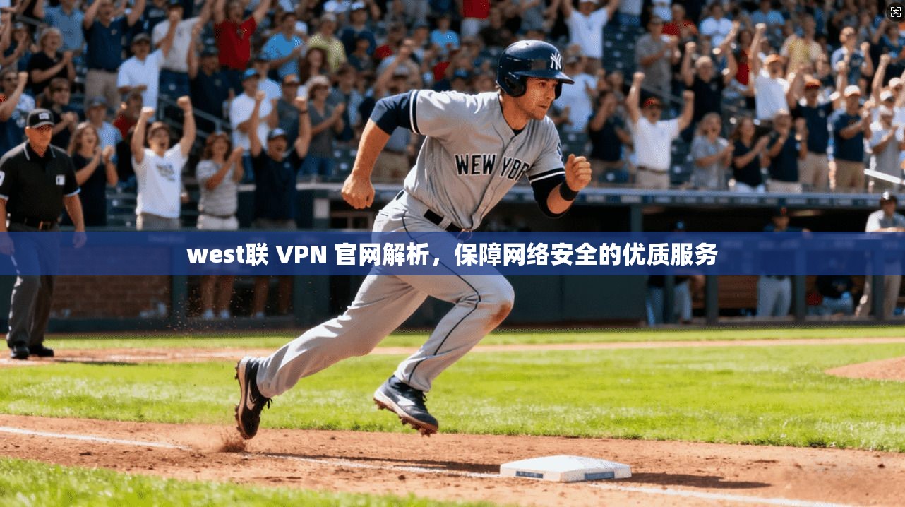 west联 VPN 官网解析，保障网络安全的优质服务