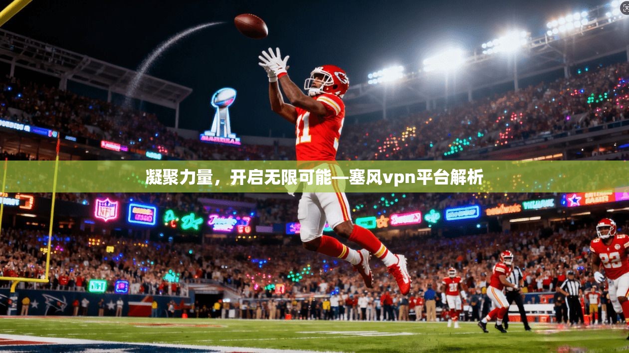 凝聚力量，开启无限可能—塞风vpn平台解析