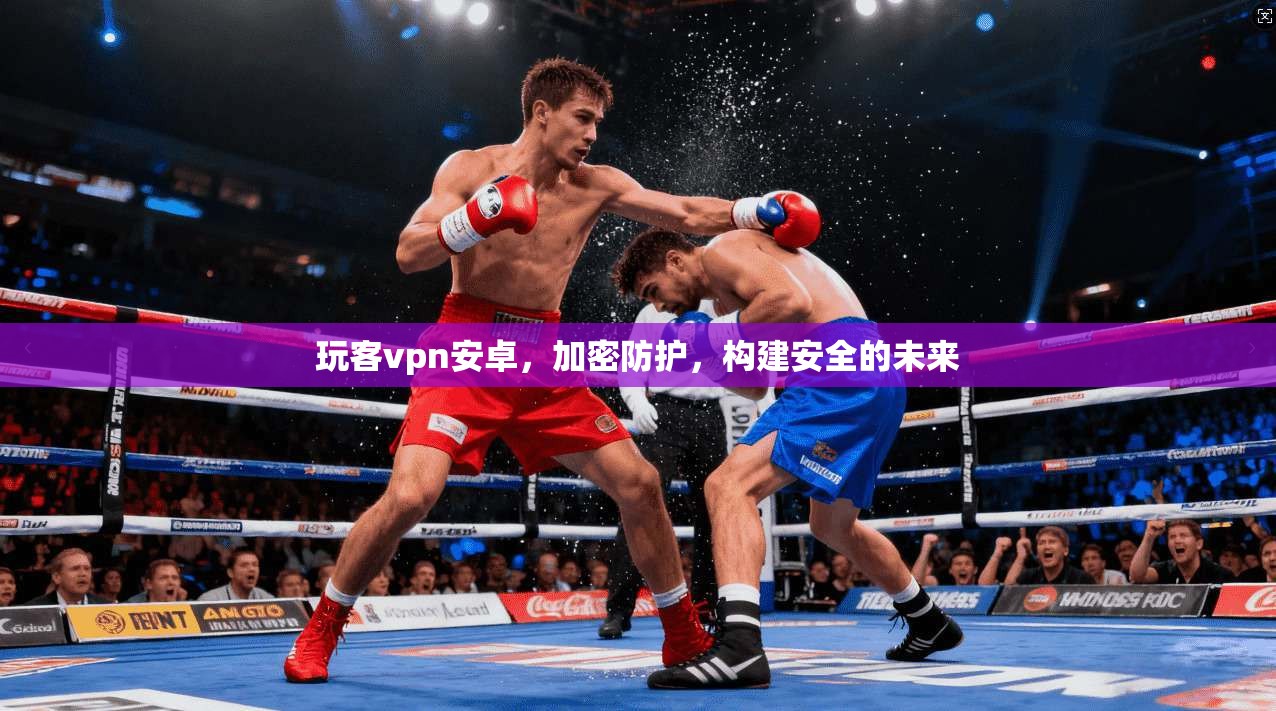 玩客vpn安卓，加密防护，构建安全的未来