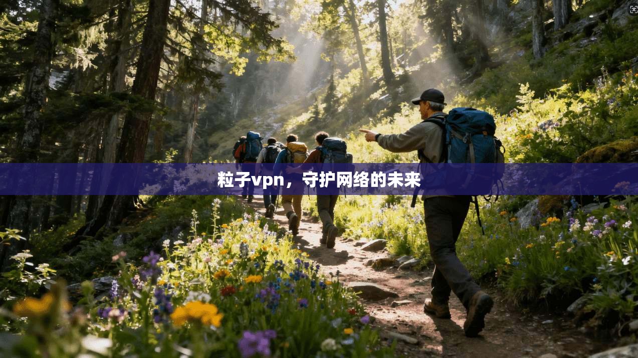 粒子vpn，守护网络的未来