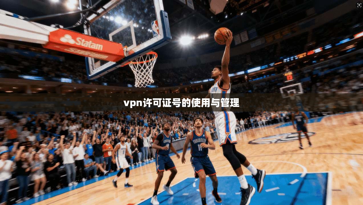 vpn许可证号的使用与管理