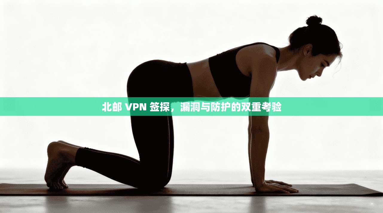 北邮 VPN 签探，漏洞与防护的双重考验