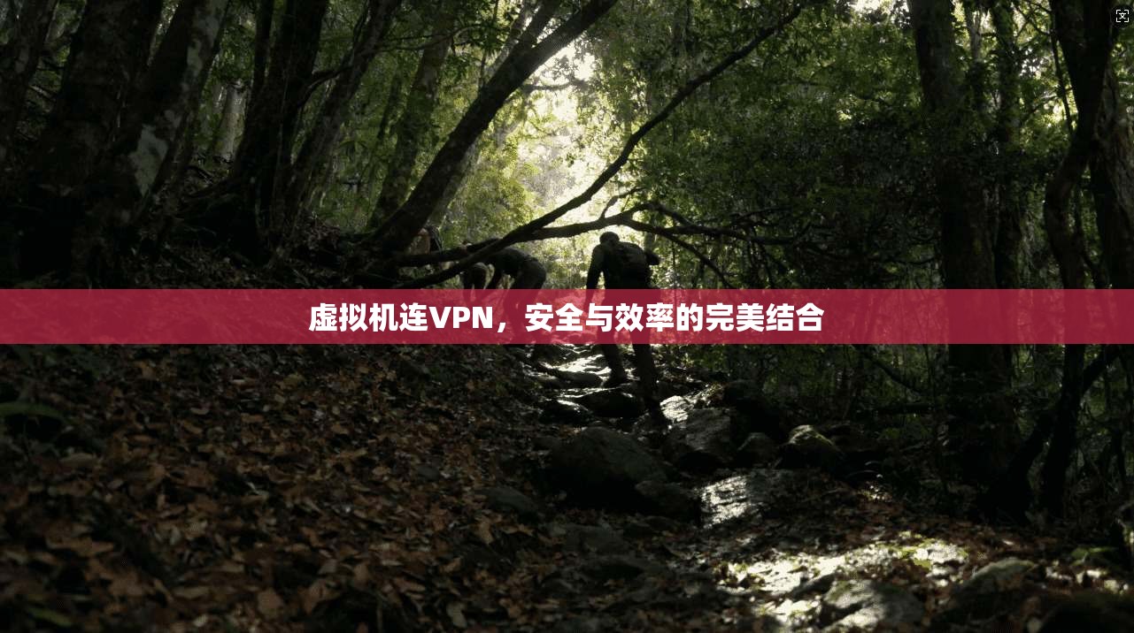 虚拟机连VPN,安全与效率的完美结合