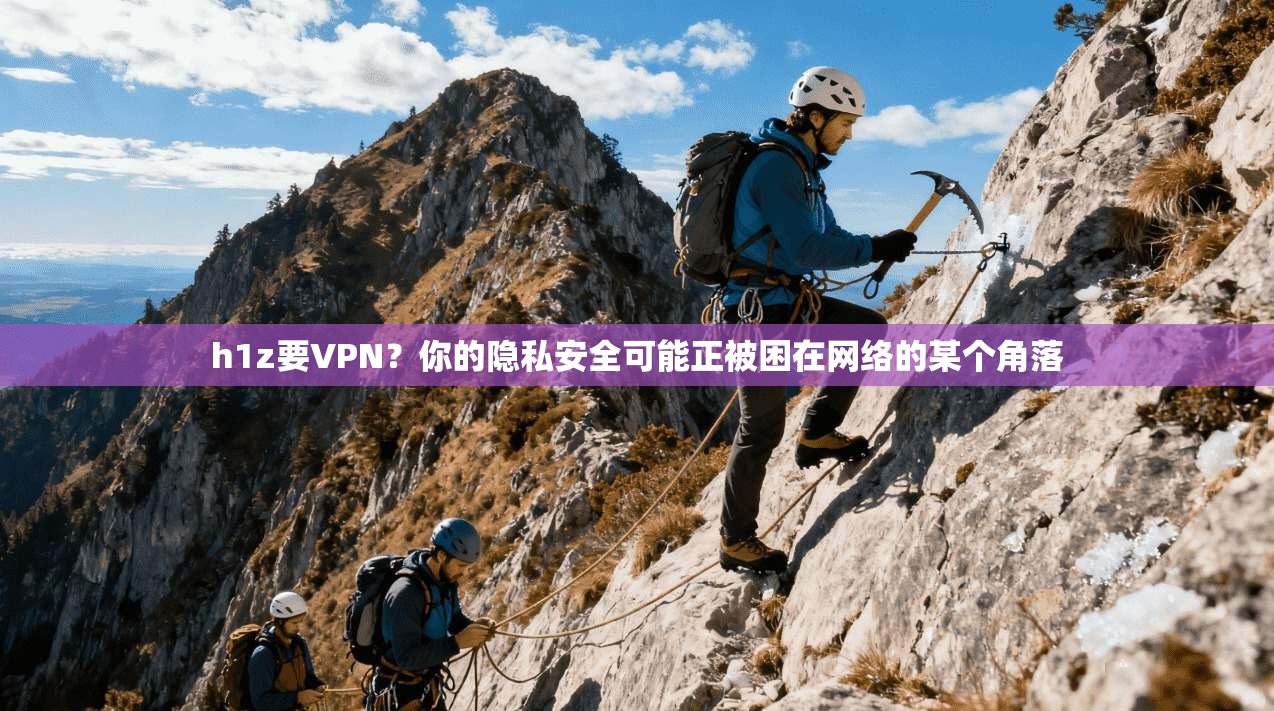 h1z要VPN?你的隐私安全可能正被困在网络的某个角落 第1张 h1z要VPN?你的隐私安全可能正被困在网络的某个角落 第1张
