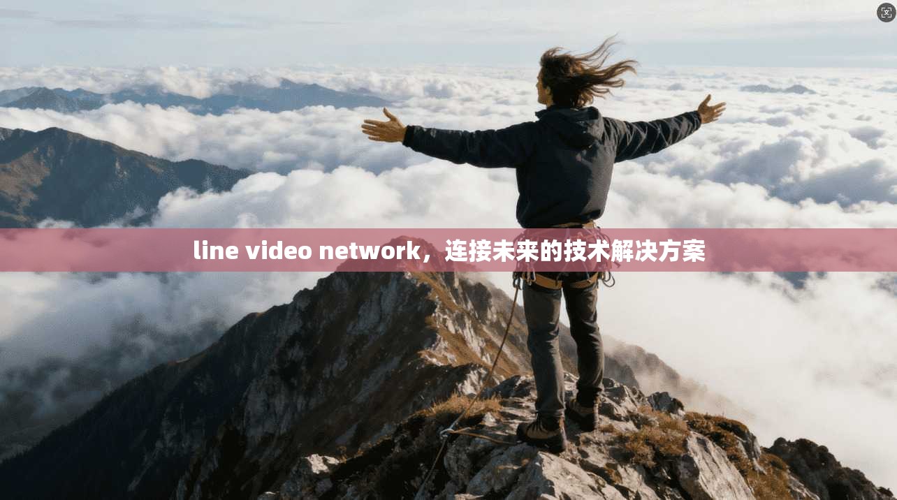 line video network，连接未来的技术解决方案  第1张