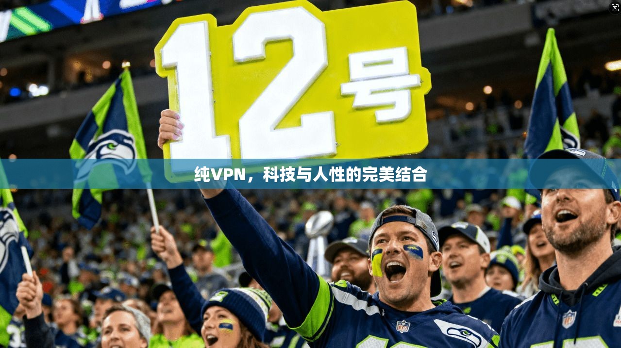 纯VPN，科技与人性的完美结合