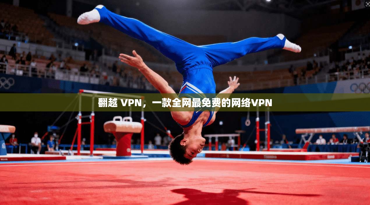 翻越 VPN，一款全网最免费的网络VPN