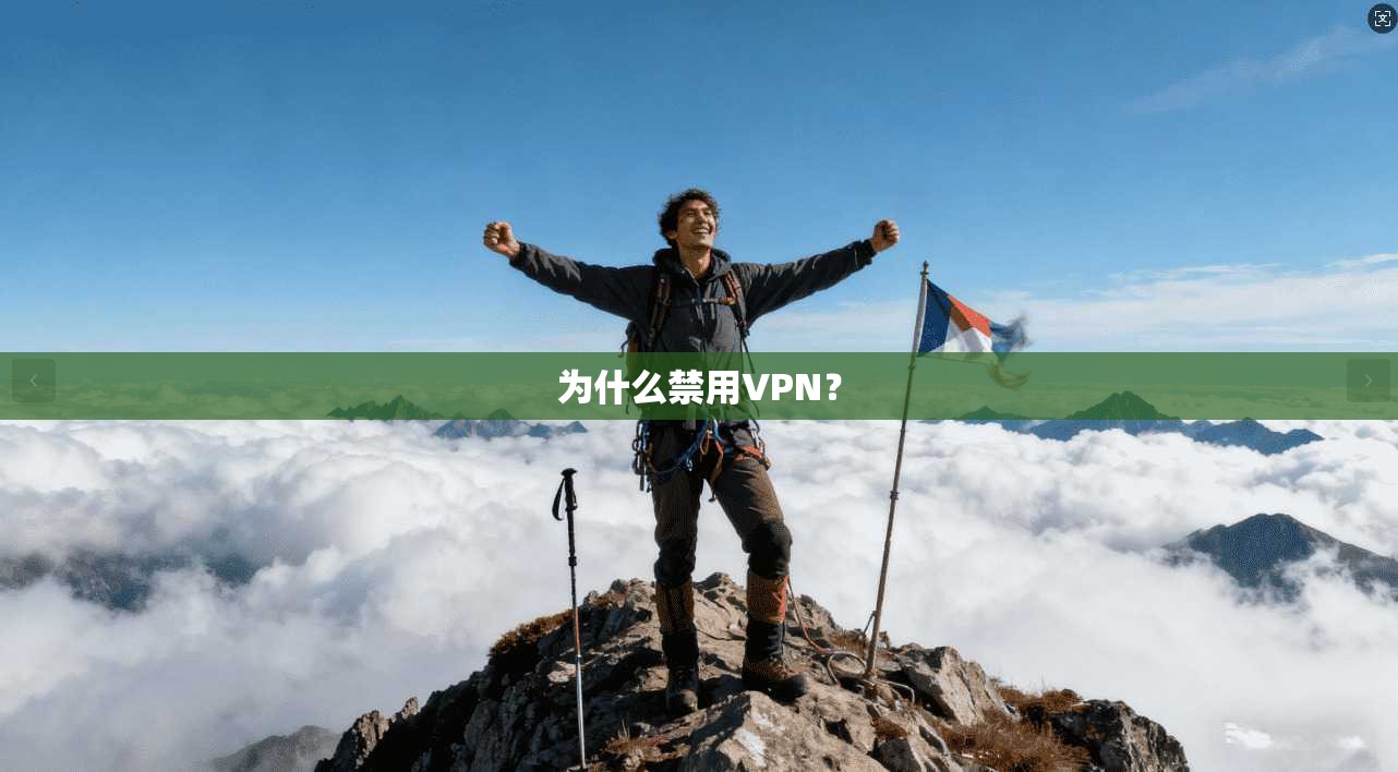 为什么禁用VPN？