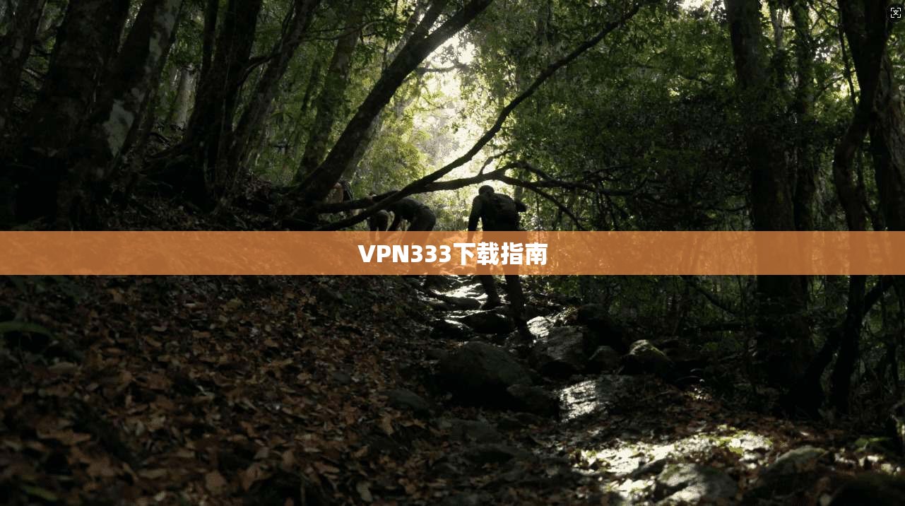 VPN333下载指南