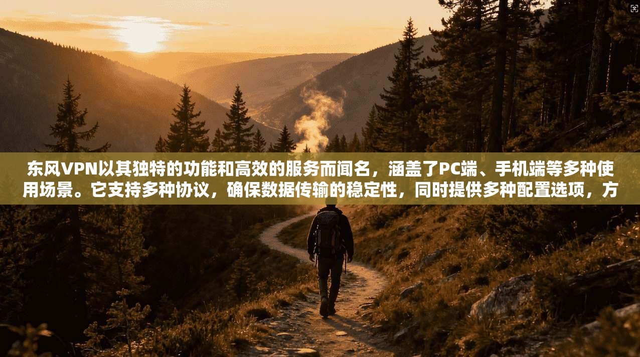 东风VPN以其独特的功能和高效的服务而闻名，涵盖了PC端、手机端等多种使用场景。它支持多种协议，确保数据传输的稳定性，同时提供多种配置选项，方便用户根据需求进行调整
