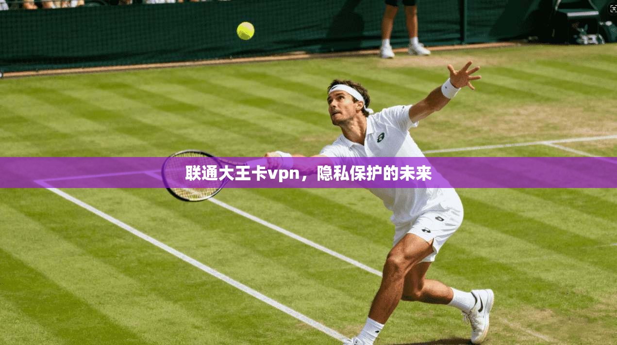 联通大王卡vpn，隐私保护的未来