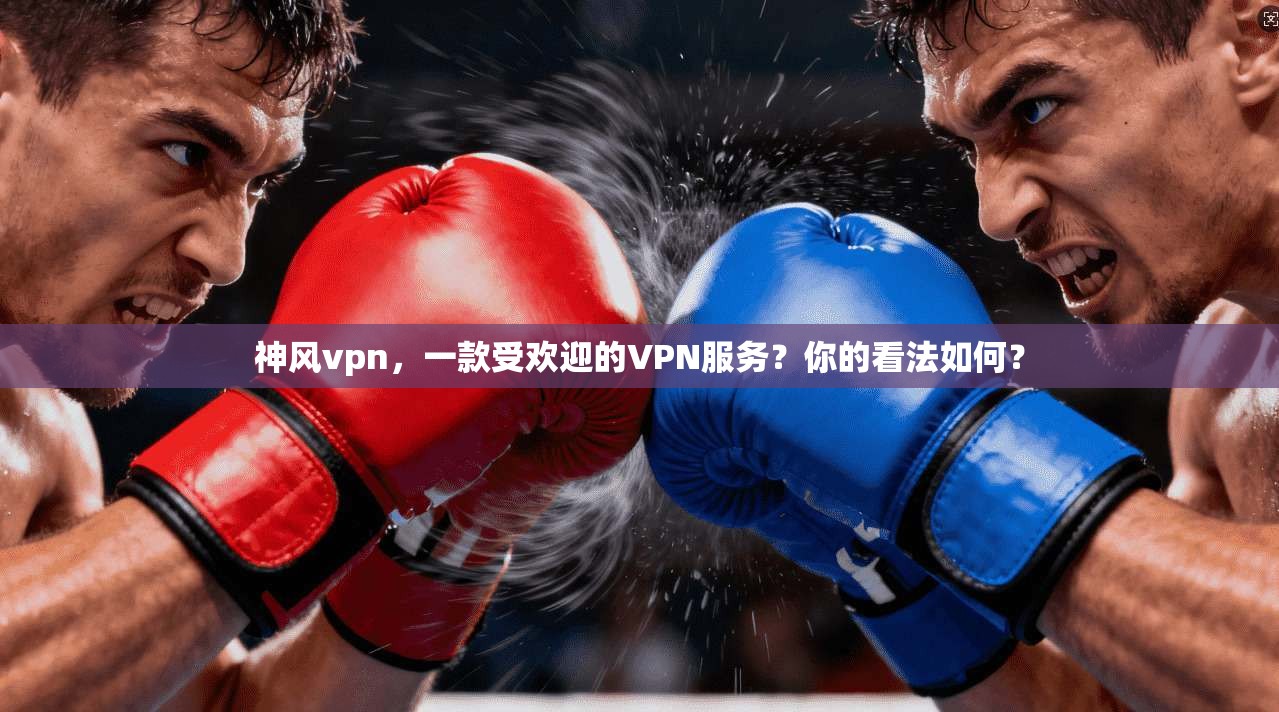 神风vpn，一款受欢迎的VPN服务？你的看法如何？