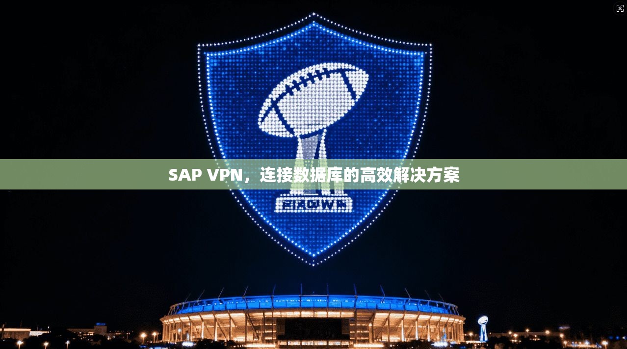 SAP VPN，连接数据库的高效解决方案  第1张