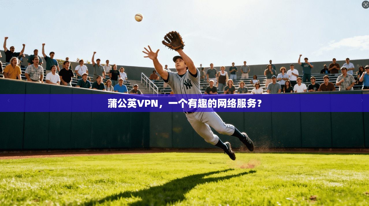 蒲公英VPN，一个有趣的网络服务？  第1张