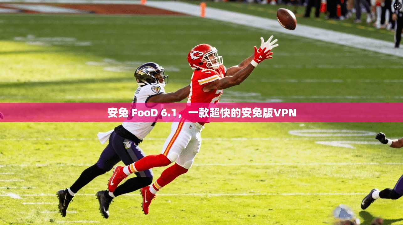 安兔 FooD 6.1，一款超快的安兔版VPN