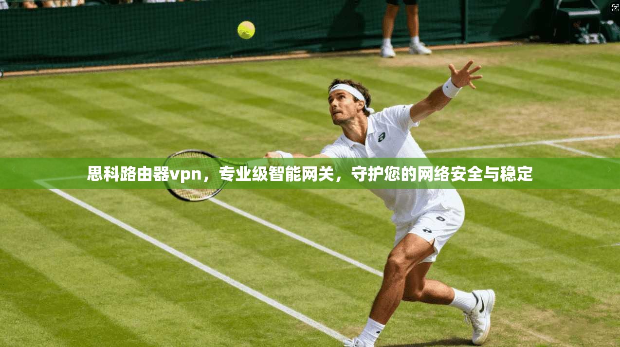 思科路由器vpn，专业级智能网关，守护您的网络安全与稳定