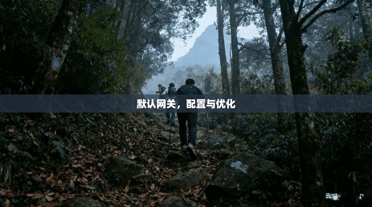 默认网关，配置与优化  第1张