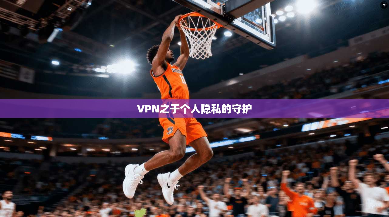 VPN之于个人隐私的守护 第1张 VPN之于个人隐私的守护 第1张