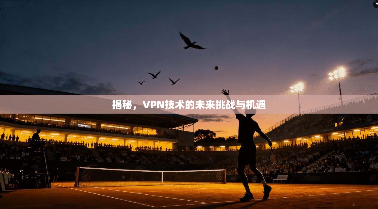 揭秘，VPN技术的未来挑战与机遇  第1张