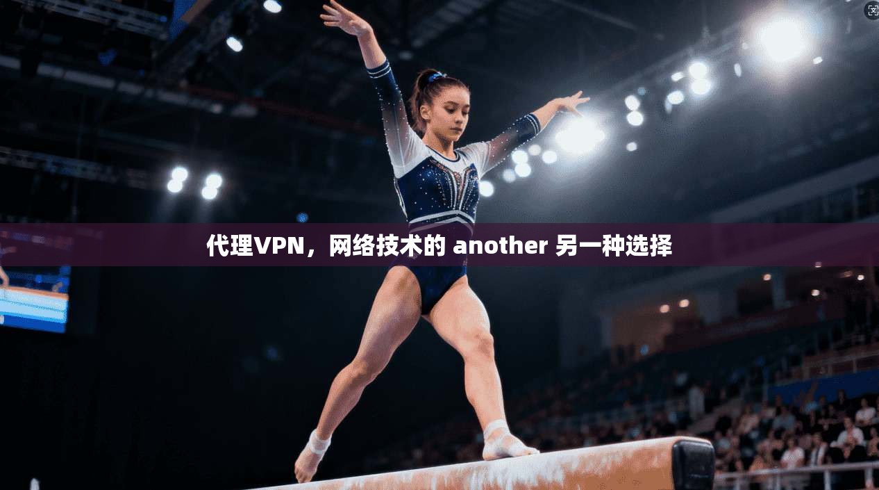 代理VPN，网络技术的 another 另一种选择