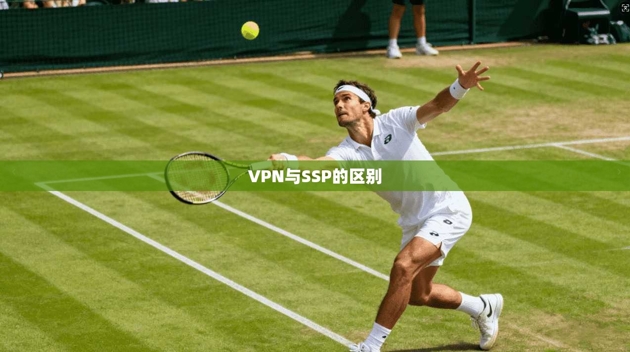 VPN与SSP的区别