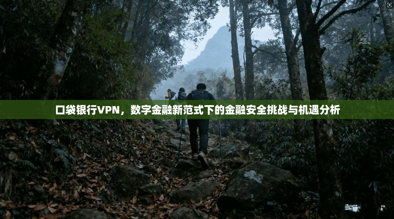 口袋银行VPN，数字金融新范式下的金融安全挑战与机遇分析