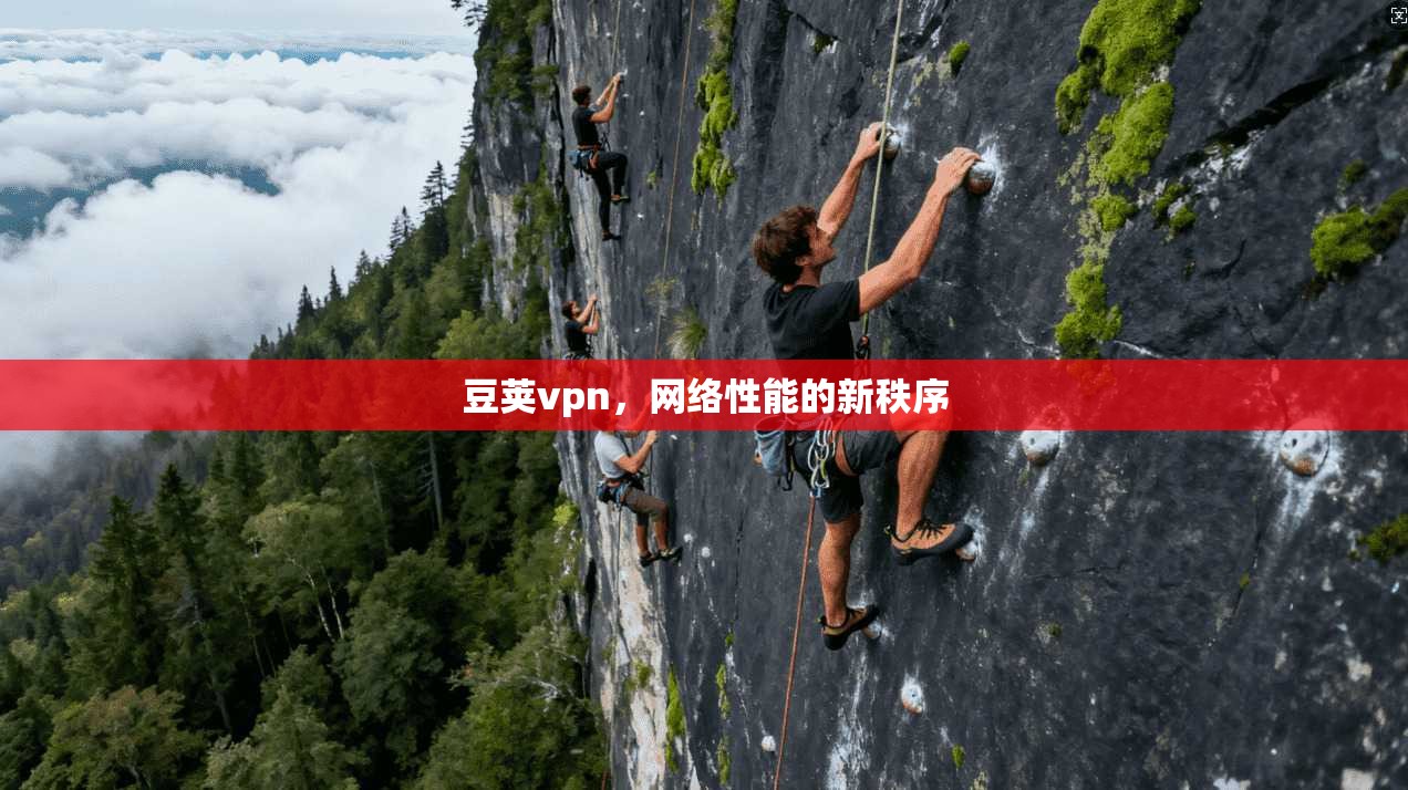 豆荚vpn，网络性能的新秩序  第1张