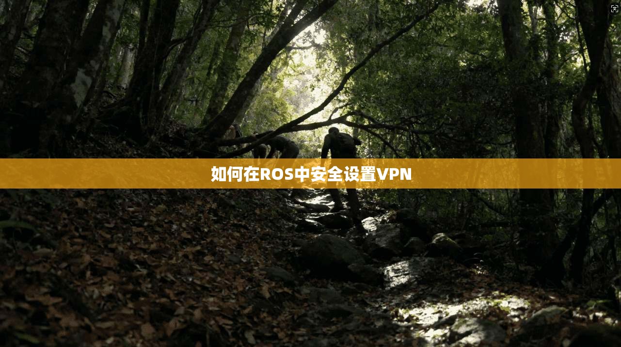 如何在ROS中安全设置VPN