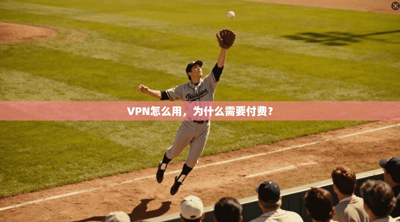 VPN怎么用，为什么需要付费？