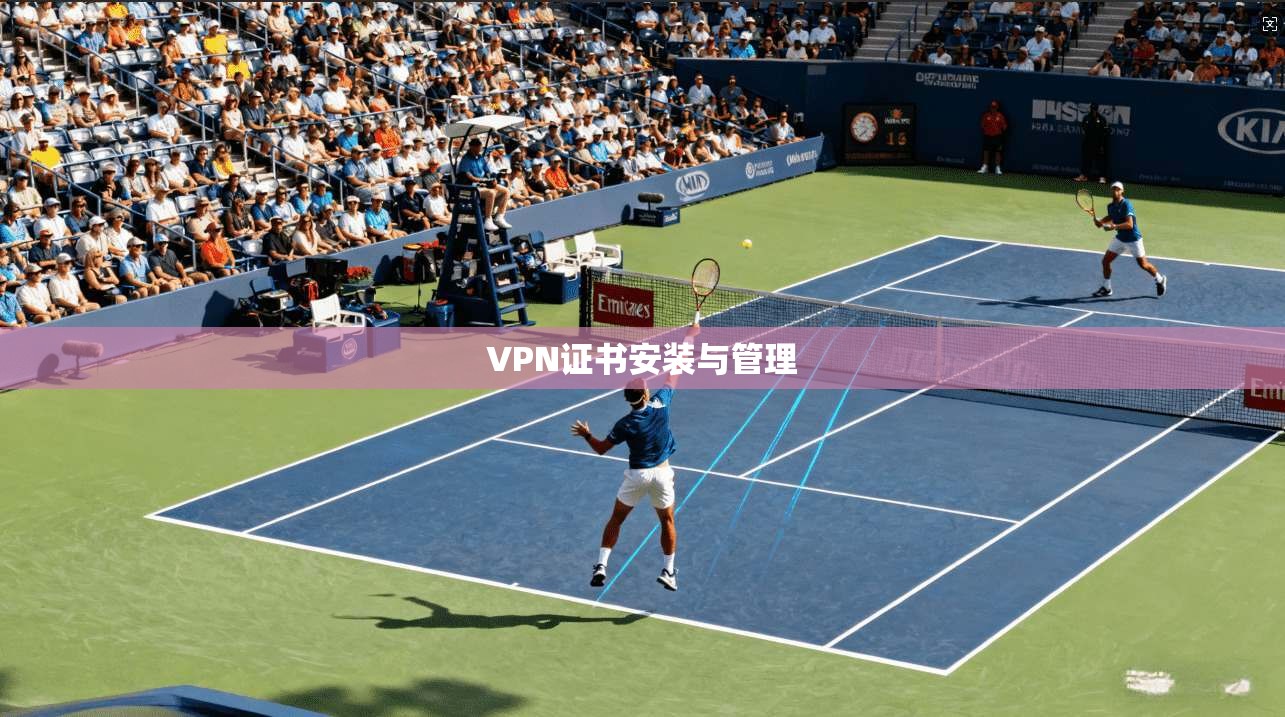 VPN证书安装与管理  第1张