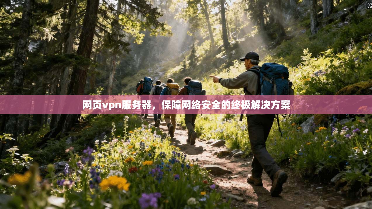网页vpn服务器，保障网络安全的终极解决方案