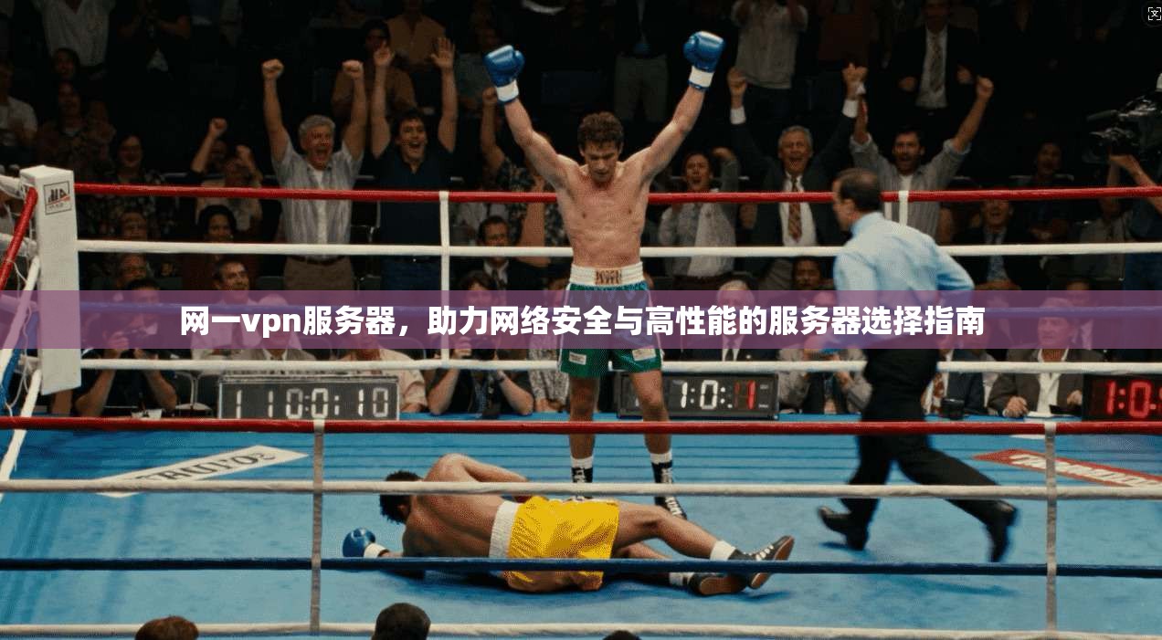 网一vpn服务器，助力网络安全与高性能的服务器选择指南