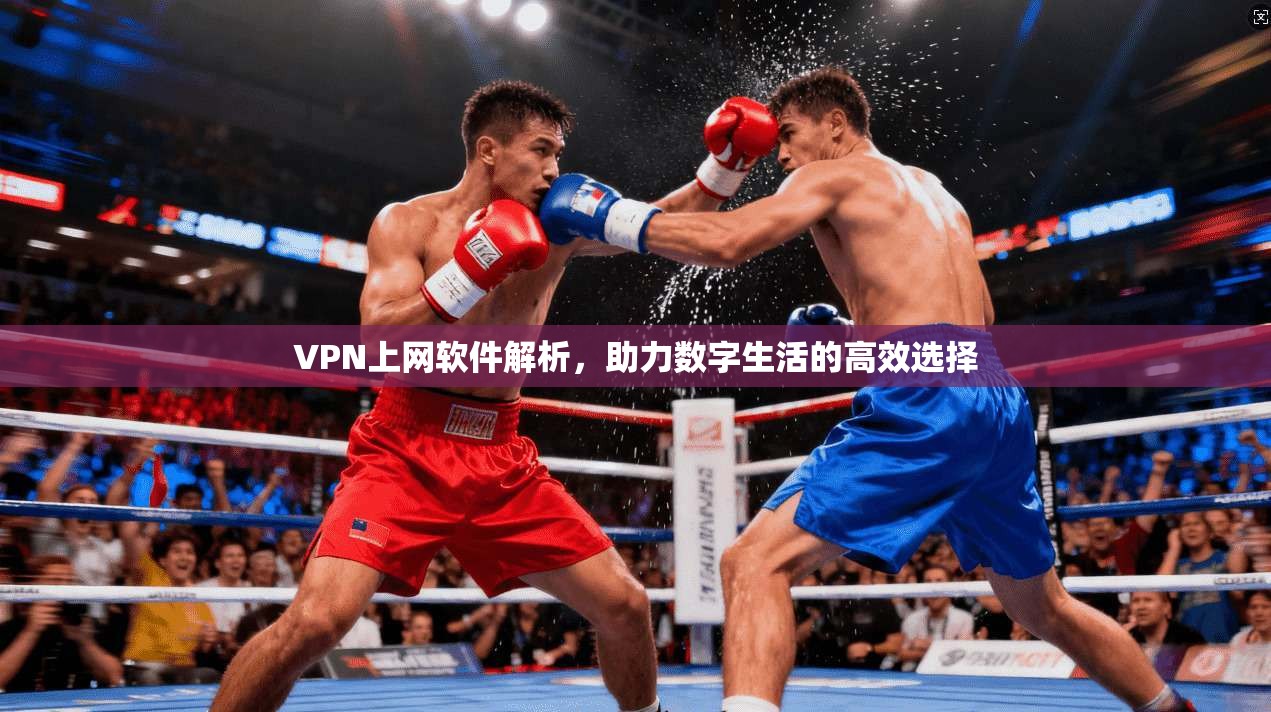 VPN上网软件解析，助力数字生活的高效选择
