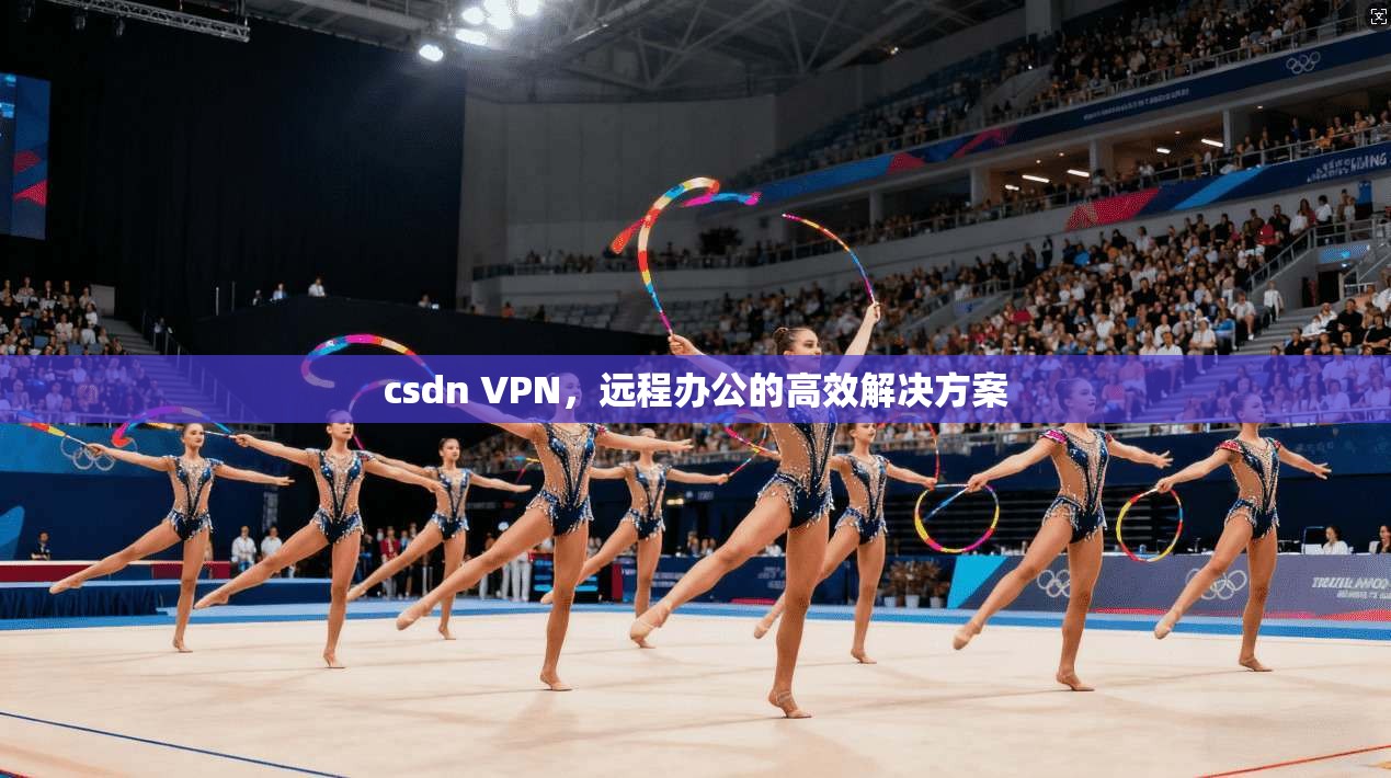 csdn VPN，远程办公的高效解决方案  第1张