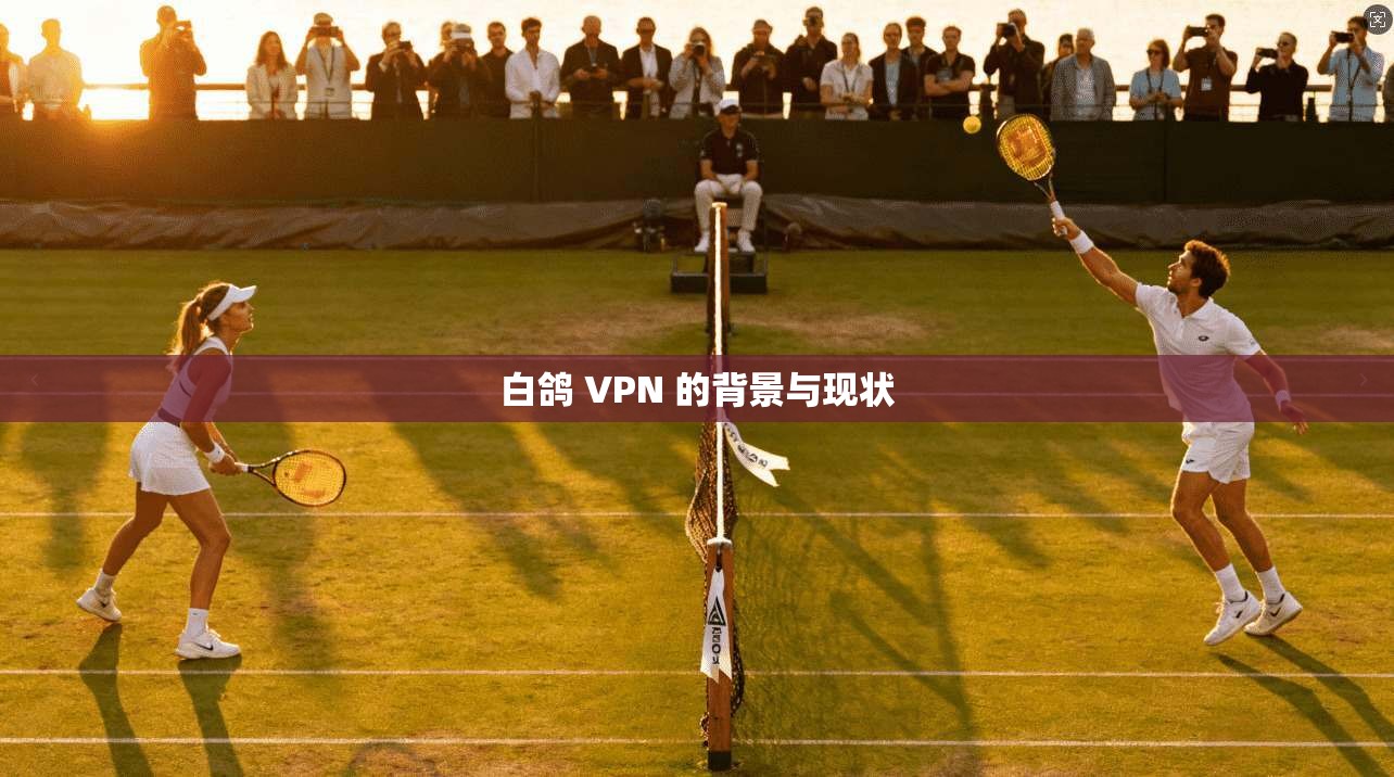 白鸽 VPN 的背景与现状