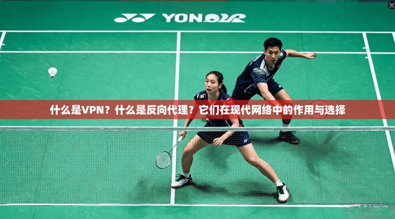 什么是VPN？什么是反向代理？它们在现代网络中的作用与选择