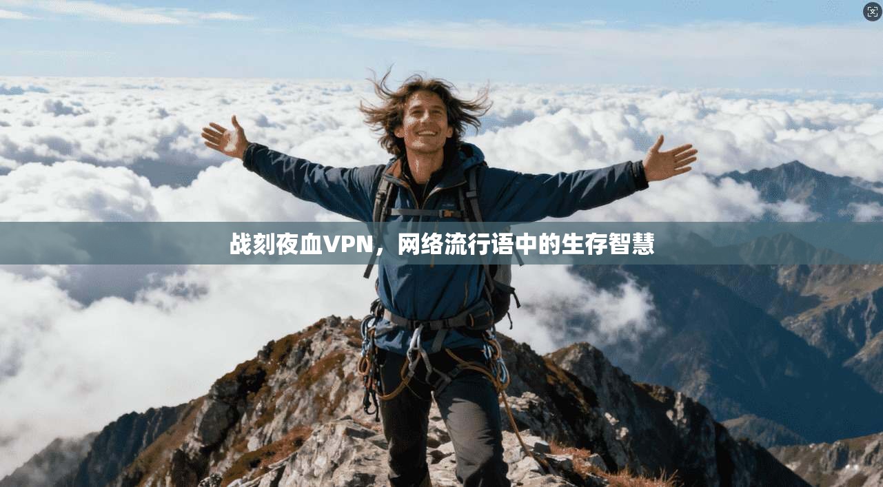 战刻夜血VPN，网络流行语中的生存智慧