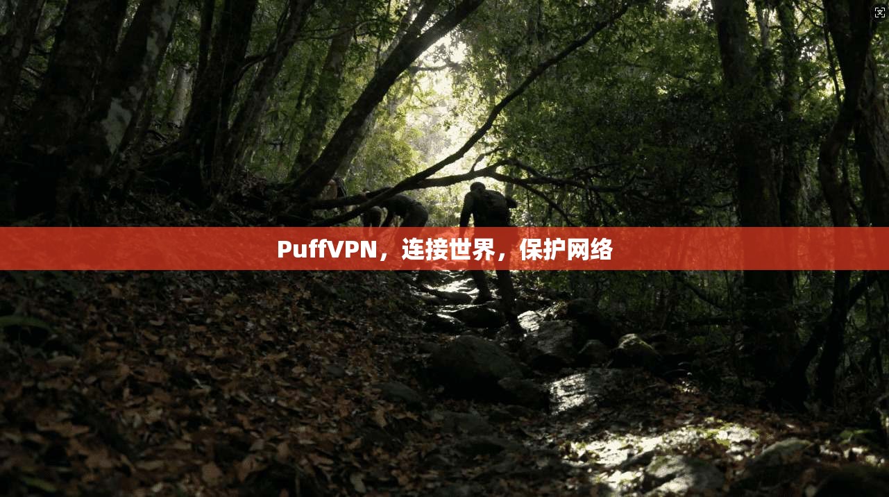 PuffVPN，连接世界，保护网络