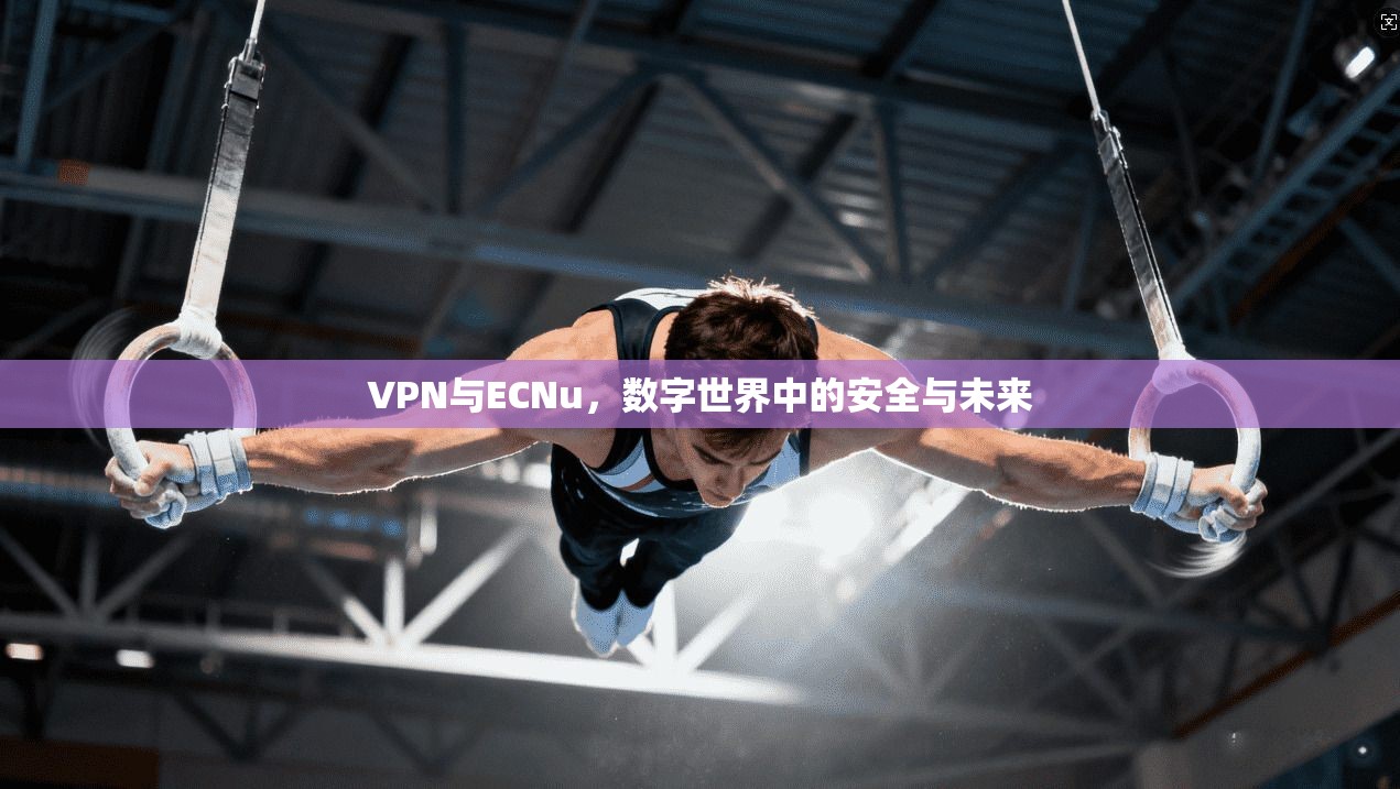VPN与ECNu，数字世界中的安全与未来