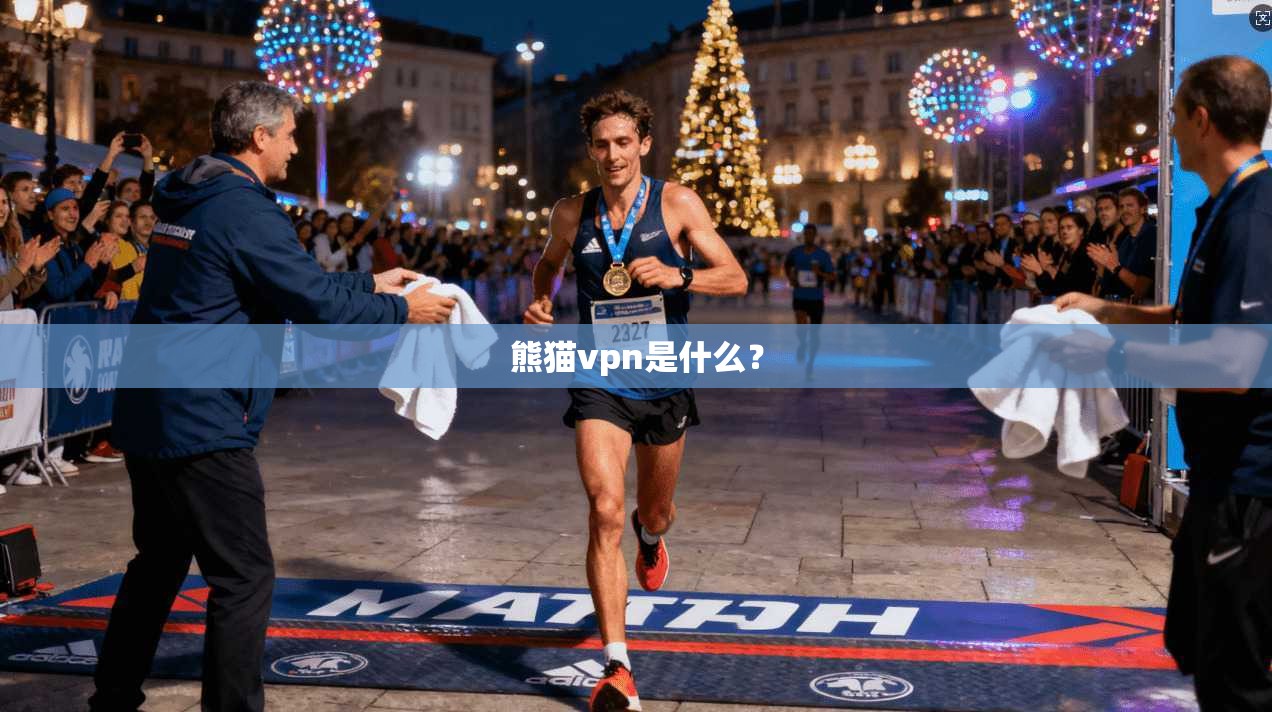 熊猫vpn是什么？
