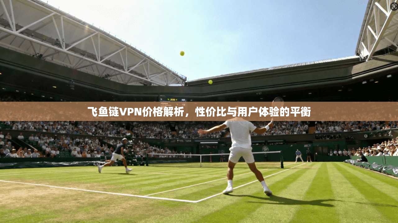 飞鱼链VPN价格解析，性价比与用户体验的平衡