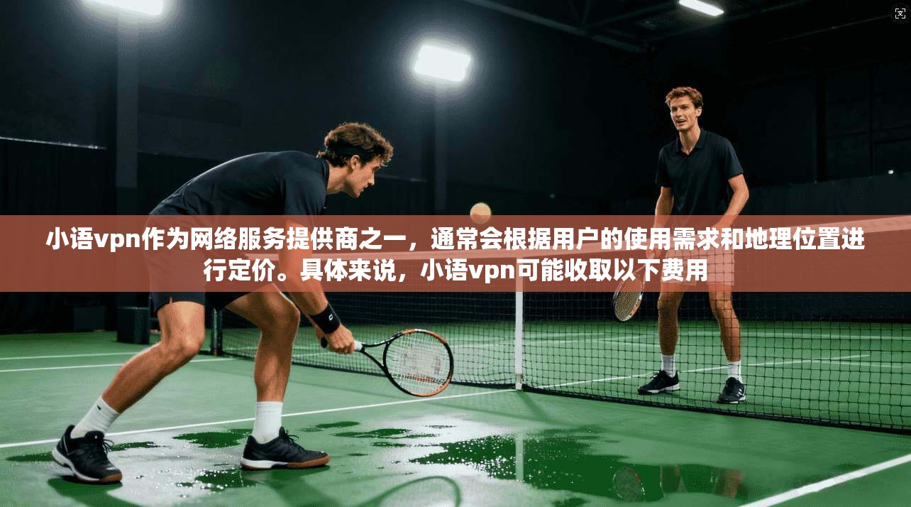 小语vpn作为网络服务提供商之一，通常会根据用户的使用需求和地理位置进行定价。具体来说，小语vpn可能收取以下费用  第1张