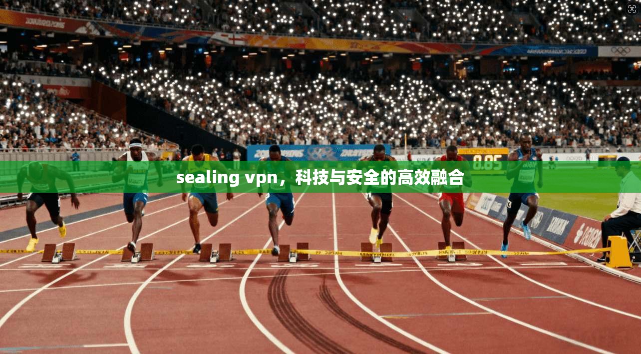 sealing vpn，科技与安全的高效融合