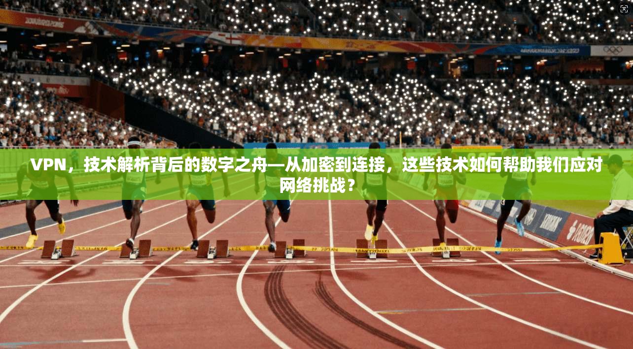 VPN，技术解析背后的数字之舟—从加密到连接，这些技术如何帮助我们应对网络挑战？