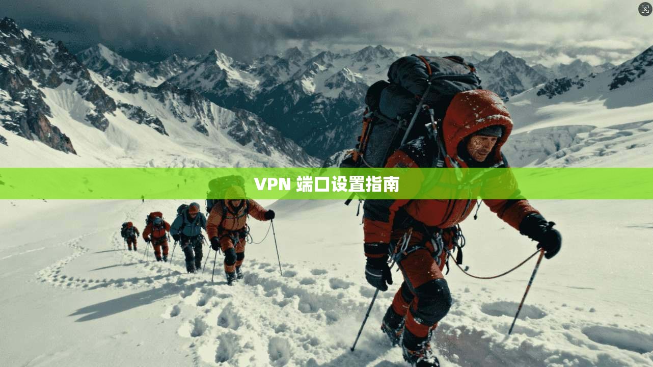 VPN 端口设置指南