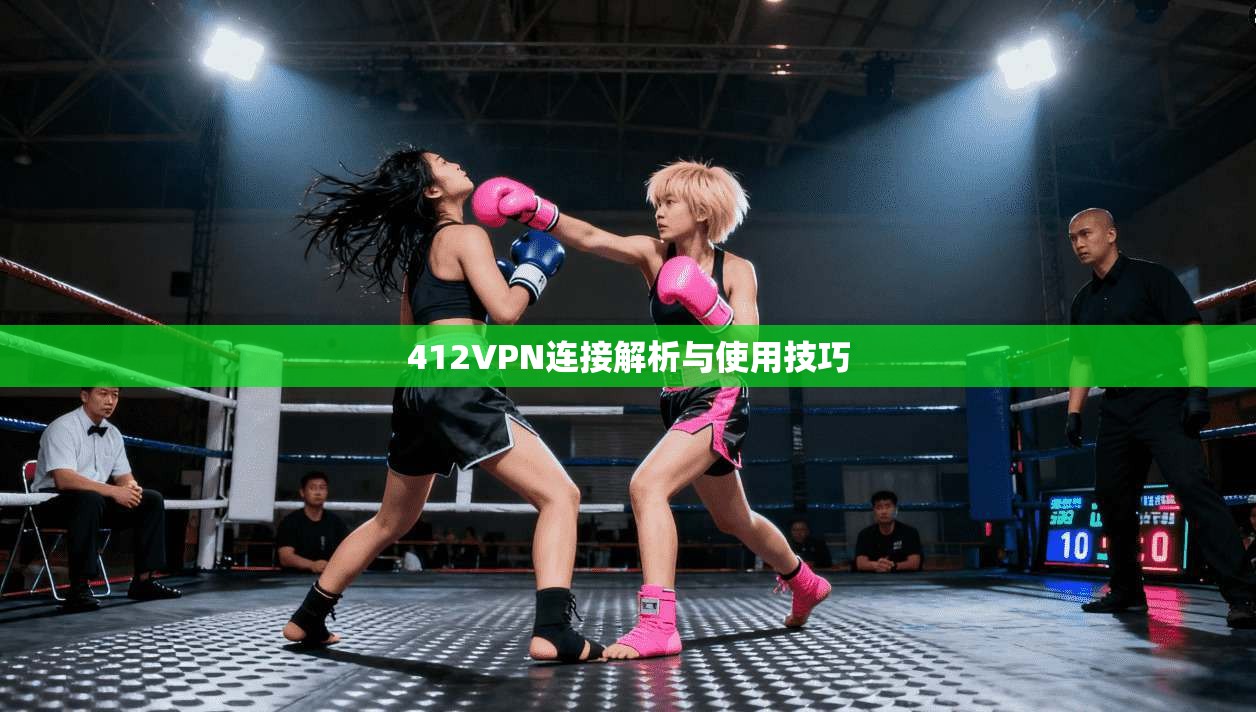 412VPN连接解析与使用技巧