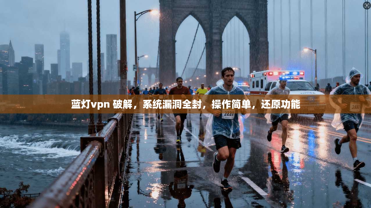 蓝灯vpn 破解，系统漏洞全封，操作简单，还原功能  第1张
