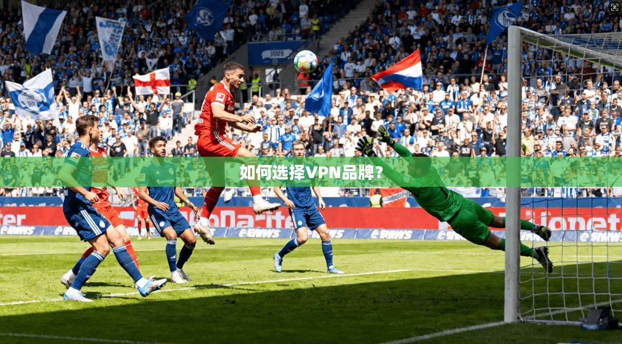 如何选择VPN品牌？